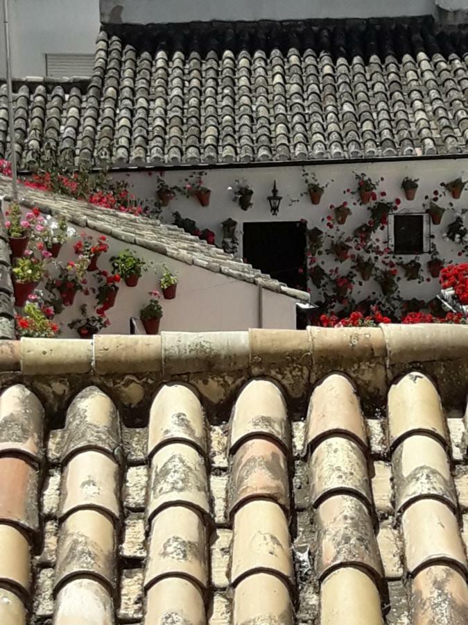 קורדובה Los Tejares Del Alcazar מראה חיצוני תמונה
